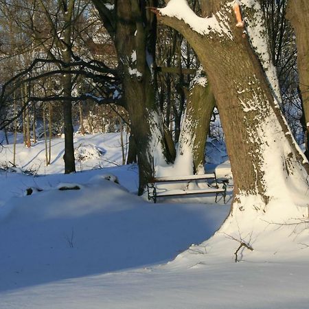 Bakonybél Somhegyi Oereg Harsfak Major Vendeghaz B&B 외부 사진